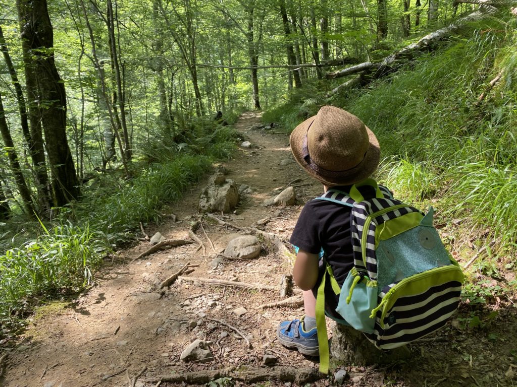 chemin cartable nature