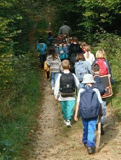 L’école du dehors – Profs en transition